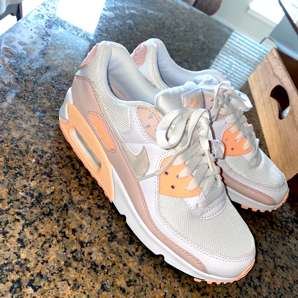 Nike Air Max Shoe